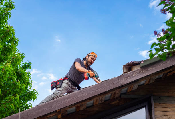 Best Chimney Flashing Repair  in Plano, IL