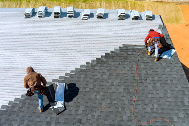 Best Storm Damage Roof Repair  in Plano, IL